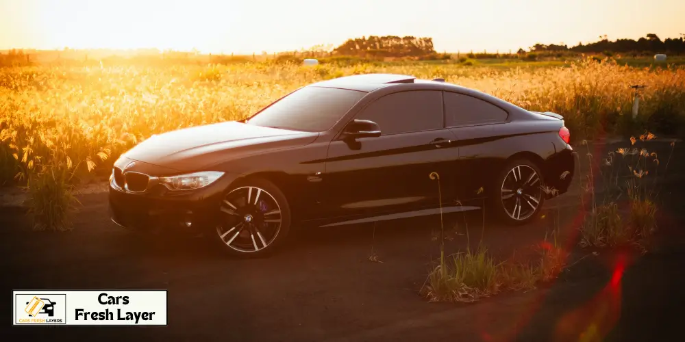 Sleek black coupe car at sunset in an open field.